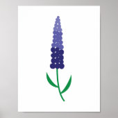 Kleurrijke Maine Lupine Poster (Voorkant)