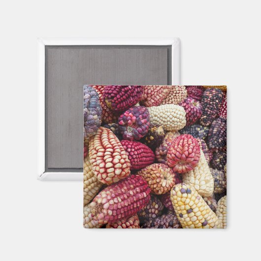 Kleurrijke Maïsmagneet Magneet (Voorkant / Achterkant)