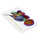 Kleurrijke Mandarijn Goby Reef Fish Premium Flexi Magneet (Rechterzijde)