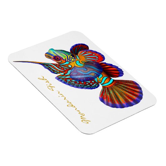 Kleurrijke Mandarijn Goby Reef Fish Premium Flexi Magneet (Rechterzijde)