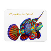 Kleurrijke Mandarijn Goby Reef Fish Premium Flexi Magneet (Horizontaal)