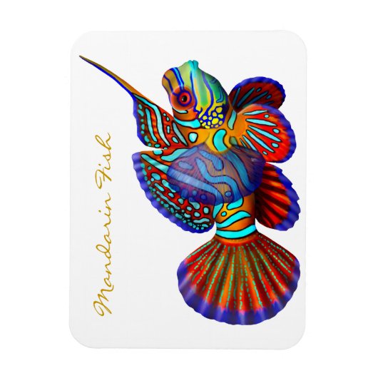 Kleurrijke Mandarijn Goby Reef Fish Premium Flexi Magneet (Verticaal)
