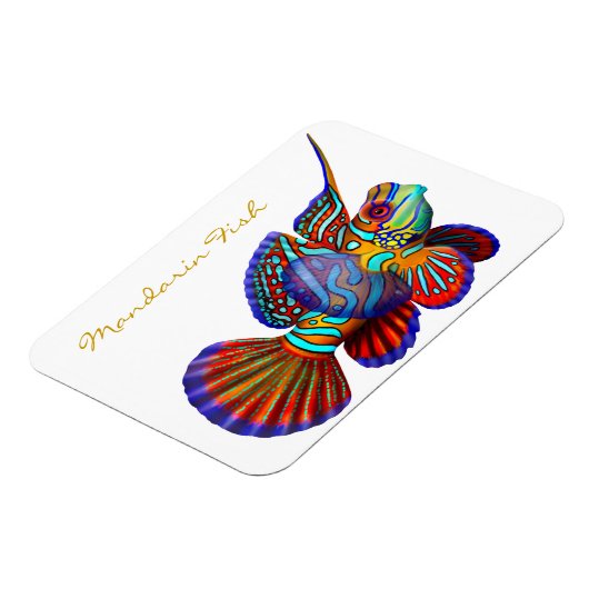 Kleurrijke Mandarijn Goby Reef Fish Premium Flexi Magneet (Linkerzijde)
