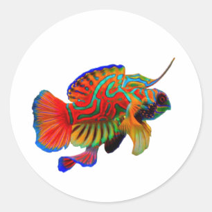 Kleurrijke Mandarinfish Uitknipbare Sticker - Exot