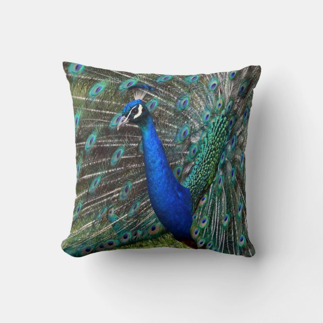 Kleurrijke mannetjespauw kussen (Voorkant)