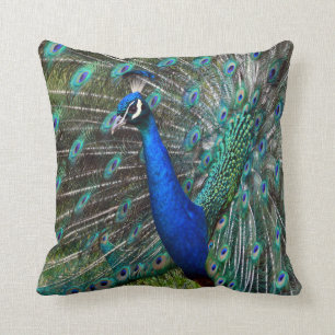 Kleurrijke mannetjespauw kussen