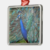 Kleurrijke mannetjespauw metalen ornament (Links)