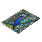 Kleurrijke mannetjespauw notitieboek (Linkerzijde)