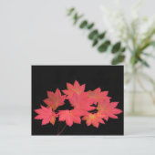 Kleurrijke mantels... briefkaart (Staand voorkant)