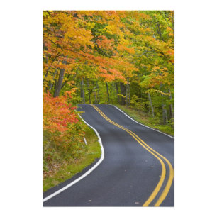 Kleurrijke mazelbomen in herfstlijn schilderachtig foto afdruk