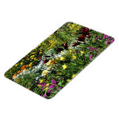 Kleurrijke middelmatige zomertuinen! magneet (Linkerzijde)