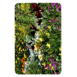 Kleurrijke middelmatige zomertuinen! magneet