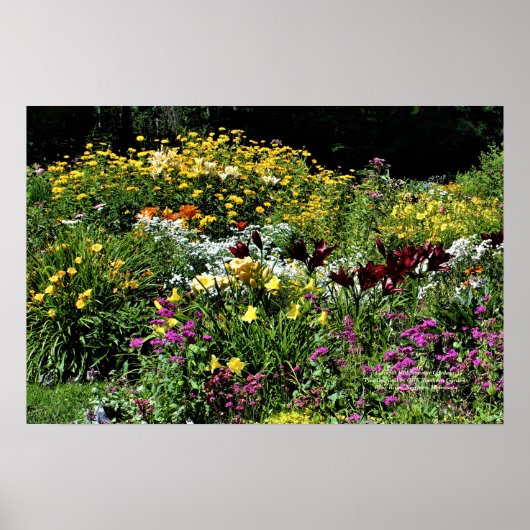 Kleurrijke middelmatige zomertuinen! poster (Voorkant)