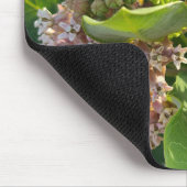 Kleurrijke Milkweed Pom Poms Muismat (Hoek)