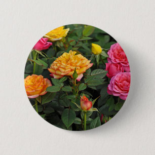 Kleurrijke miniatuurrozen ronde button 5,7 cm
