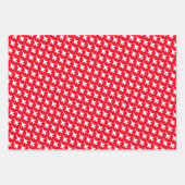 Kleurrijke mix F-16 Fighter Jet Pattern Inpakpapier Vel (Voorkant 3)