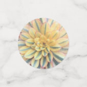 Kleurrijke mix van vetplanten confetti (Kleine voorkant)