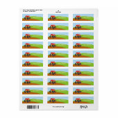 Kleurrijke monsterwagen etiket (Full Sheet)