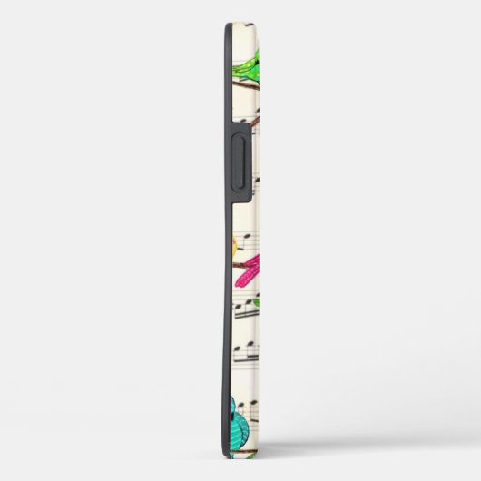 Kleurrijke Muzikale Vogels iPhone Case (Achterkant / Rechts)