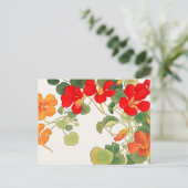 Kleurrijke Nasturtiumbloemen Briefkaart (Staand voorkant)