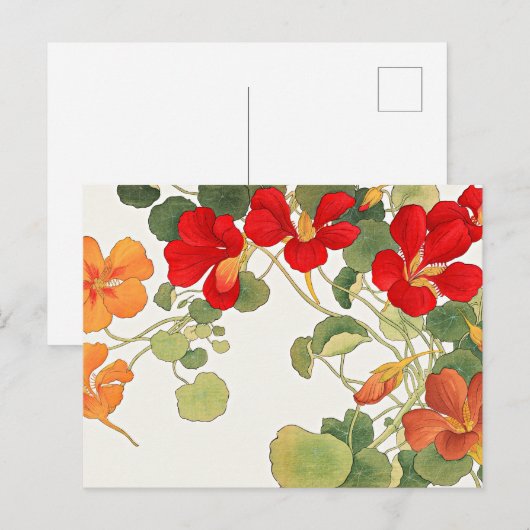 Kleurrijke Nasturtiumbloemen Briefkaart (Voorkant / Achterkant)