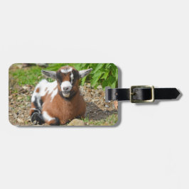 Kleurrijke Nigeriaanse Dwerggeit Kind Bagagelabel