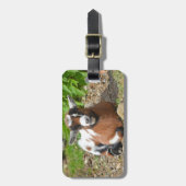 Kleurrijke Nigeriaanse Dwerggeit Kind Bagagelabel (Voorkant verticaal)