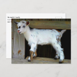 Kleurrijke Nigeriaanse dwerggeit met blauwe ogen Briefkaart