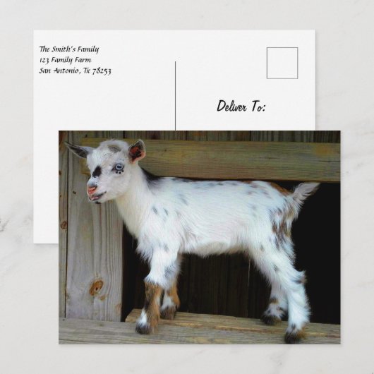 Kleurrijke Nigeriaanse dwerggeit met blauwe ogen Briefkaart (Voorkant / Achterkant)