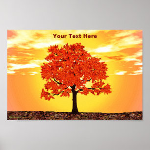 Kleurrijke ochtend eik poster