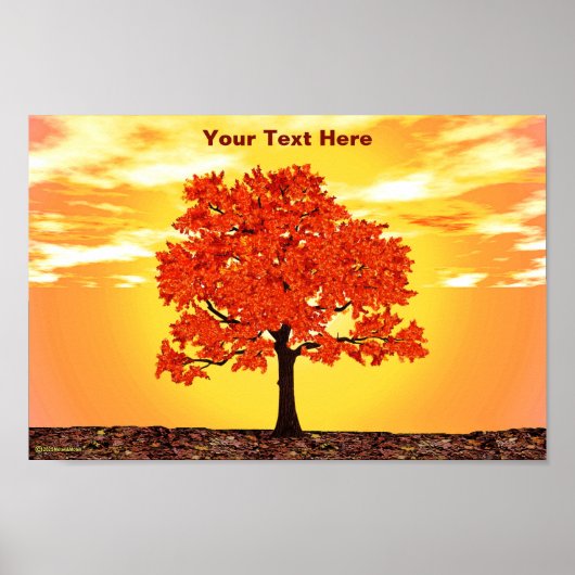 Kleurrijke ochtend eik poster (Voorkant)