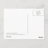 Kleurrijke Oerwouden Briefkaart (Achterkant)