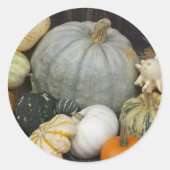 Kleurrijke oogstpompoenen ronde sticker (Voorkant)