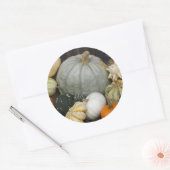 Kleurrijke oogstpompoenen ronde sticker (Envelop)