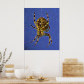 Kleurrijke Orb Spider Poster (Keuken)
