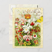 Kleurrijke orchideeën en gele vlinder briefkaart (Voorkant / Achterkant)