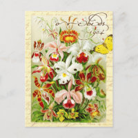 Kleurrijke orchideeën en gele vlinder