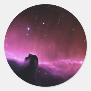 Kleurrijke paardenkopnevel ronde sticker