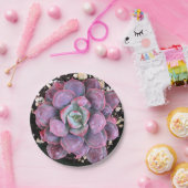 Kleurrijke Paarse Echeveria Raindrops Succulent Papieren Bordje (Feest)