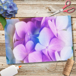 Kleurrijke Paarse Hortensia Tissuepapier