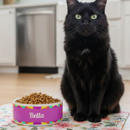 Kleurrijke Paarse Retro Geometrische Keramische Pe Voerbakje