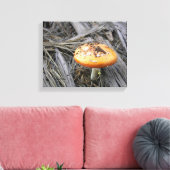 Kleurrijke paddenstoel door vuil canvas afdruk (Insitu (Woonkamer))