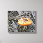 Kleurrijke paddenstoel door vuil canvas afdruk (Voorkant)