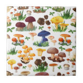 Kleurrijke paddenstoelen tegeltje (Voorkant)