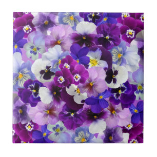 kleurrijke pansieën, bloemen, tegeltje