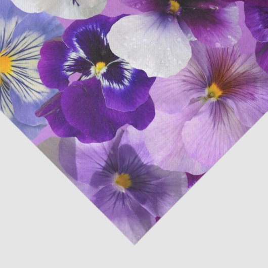 kleurrijke pansieën,  bloemen, tissuepapier (Detail)