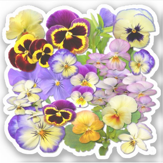 Kleurrijke Pansies Contour Sticker (Voorkant)