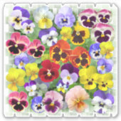 Kleurrijke Pansies Custom-Cut Vinyl Sticker (Voorkant)