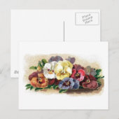 Kleurrijke  Pansies Floral Briefkaart (Voorkant / Achterkant)