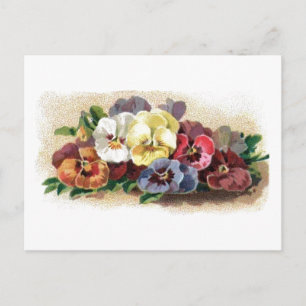 Kleurrijke  Pansies Floral Briefkaart